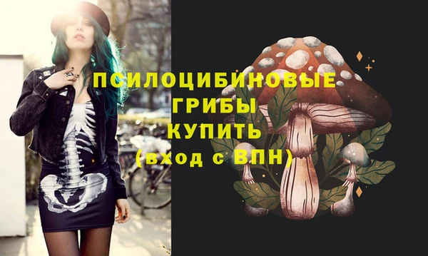 дурь Белоозёрский
