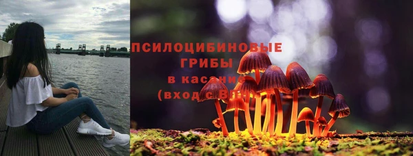 дурь Белоозёрский