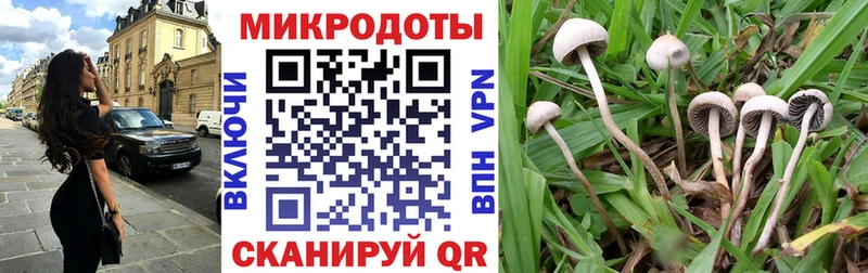 Псилоцибиновые грибы ЛСД  где можно купить наркотик  Куровское 