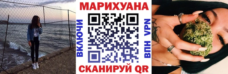 Конопля Ganja  Куровское 